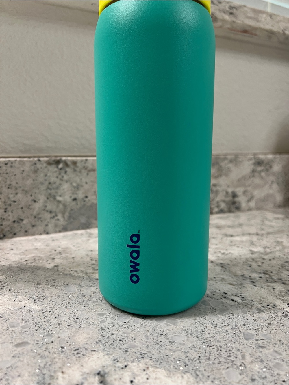 Owala 32 Oz Freesip Neon Basil - Picture 12 of 16